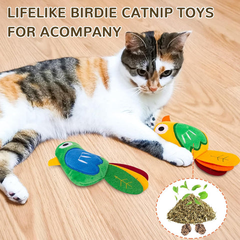 2 Pack Catnip Toys, Cat Toys with Catnip and Silvervine, Bird Catnip Toys for Cats, INFTOYCO Cat Toys for Indoor Cats, Cat Toys with Catnip, Cat Chew Toy, Cat Toy for Cats Kittens Kitty