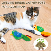 INFTOYCO 2 Pack Catnip Toys, Cat Toys with Catnip and Silvervine, Bird Catnip Toys for Cats, Cat Toys for Indoor Cats, Cat Toys with Catnip, Cat Chew Toy, Cat Toy for Cats Kittens Kitty